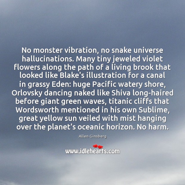 No monster vibration, no snake universe hallucinations. Many tiny jeweled violet flowers Allen Ginsberg Picture Quote