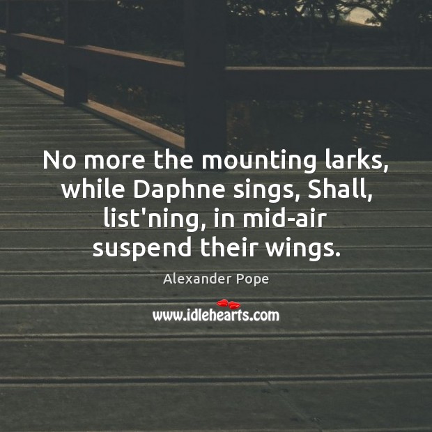 No more the mounting larks, while Daphne sings, Shall, list’ning, in mid-air Alexander Pope Picture Quote
