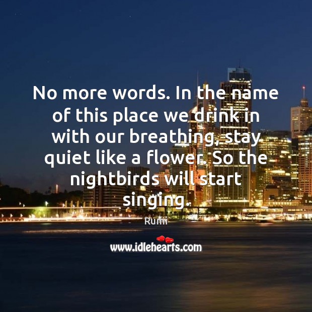 No more words. In the name of this place we drink in Rumi Picture Quote