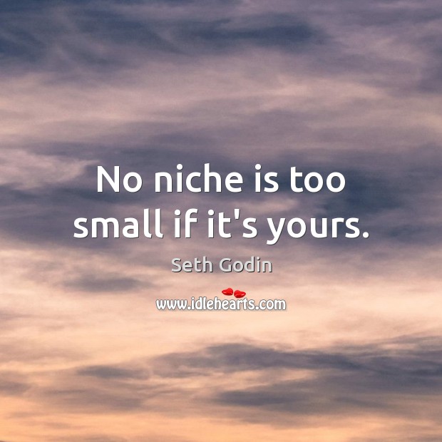 No niche is too small if it’s yours. Seth Godin Picture Quote