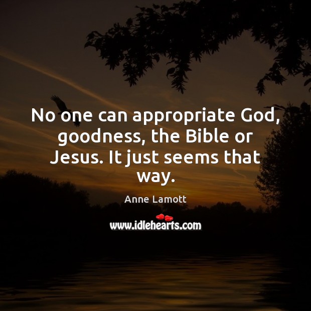 No one can appropriate God, goodness, the Bible or Jesus. It just seems that way. Anne Lamott Picture Quote