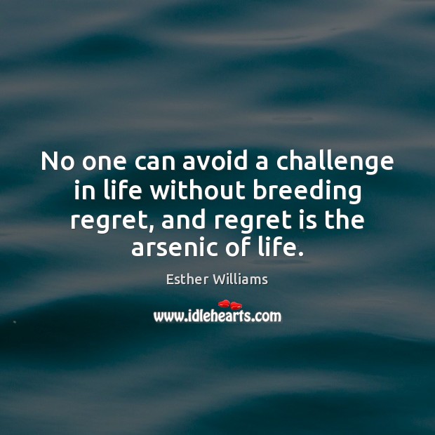 No one can avoid a challenge in life without breeding regret, and Image