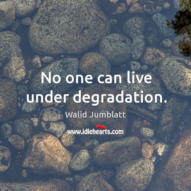 No one can live under degradation. Walid Jumblatt Picture Quote