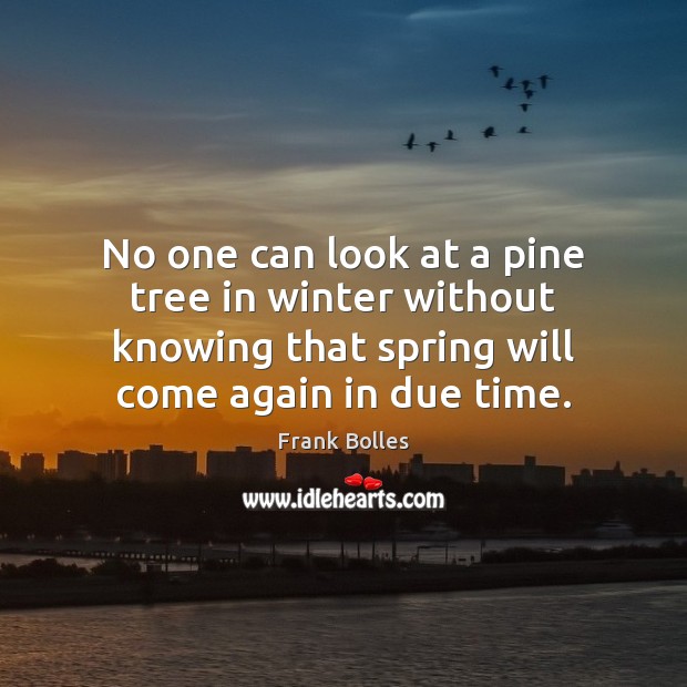 No one can look at a pine tree in winter without knowing Frank Bolles Picture Quote