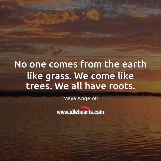 No one comes from the earth like grass. We come like trees. We all have roots. Image