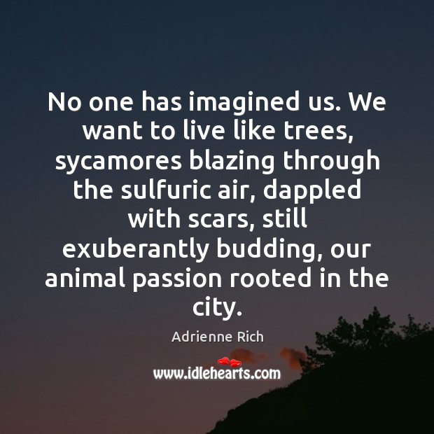 No one has imagined us. We want to live like trees, sycamores Adrienne Rich Picture Quote