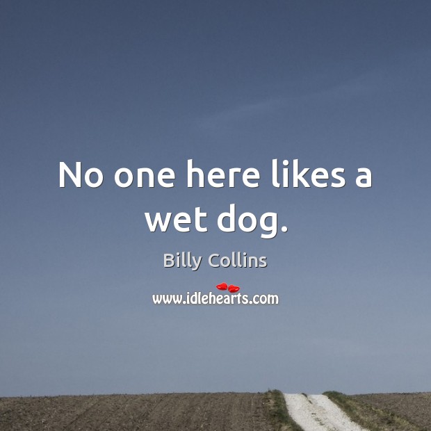 No one here likes a wet dog. Billy Collins Picture Quote