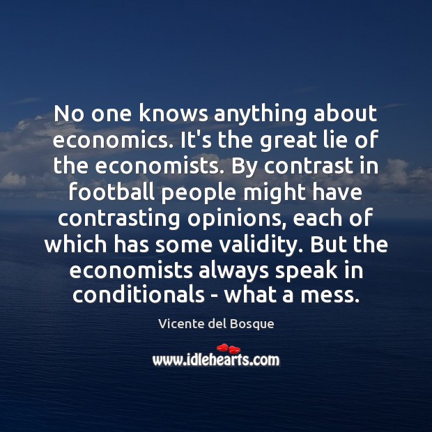 No one knows anything about economics. It’s the great lie of the Vicente del Bosque Picture Quote
