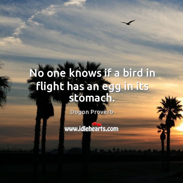 No one knows if a bird in flight has an egg in its stomach. Dogon Proverbs Image