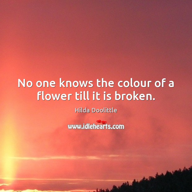 No one knows the colour of a flower till it is broken. Hilda Doolittle Picture Quote