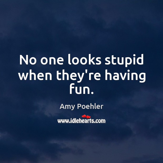 No one looks stupid when they’re having fun. Amy Poehler Picture Quote