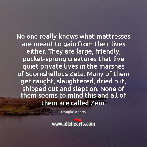 No one really knows what mattresses are meant to gain from their Douglas Adams Picture Quote