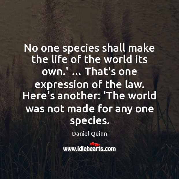 No one species shall make the life of the world its own. Daniel Quinn Picture Quote