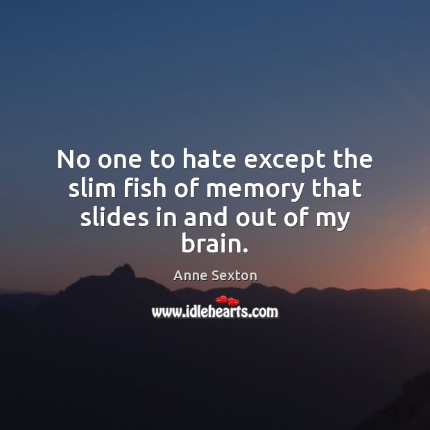 No one to hate except the slim fish of memory that slides in and out of my brain. Anne Sexton Picture Quote