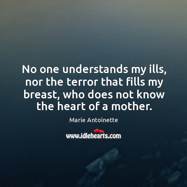 No one understands my ills, nor the terror that fills my breast, who does not know the heart of a mother. Marie Antoinette Picture Quote