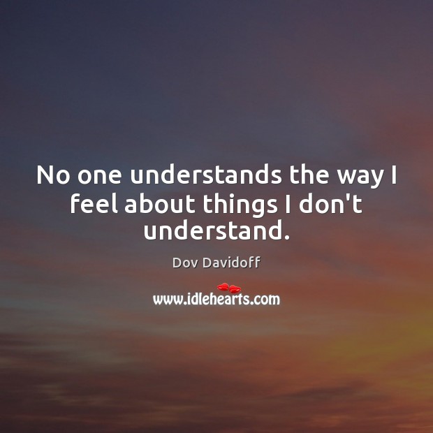 No one understands the way I feel about things I don’t understand. Dov Davidoff Picture Quote