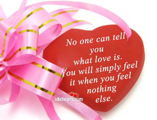 No one can tell you what love is Love Is Quotes Image