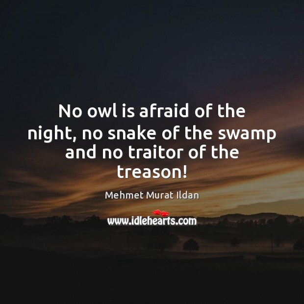 No owl is afraid of the night, no snake of the swamp and no traitor of the treason! Mehmet Murat Ildan Picture Quote
