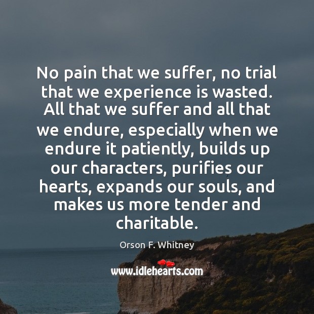 No pain that we suffer, no trial that we experience is wasted. Orson F. Whitney Picture Quote