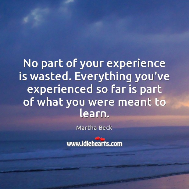 No part of your experience is wasted. Everything you’ve experienced so far Martha Beck Picture Quote
