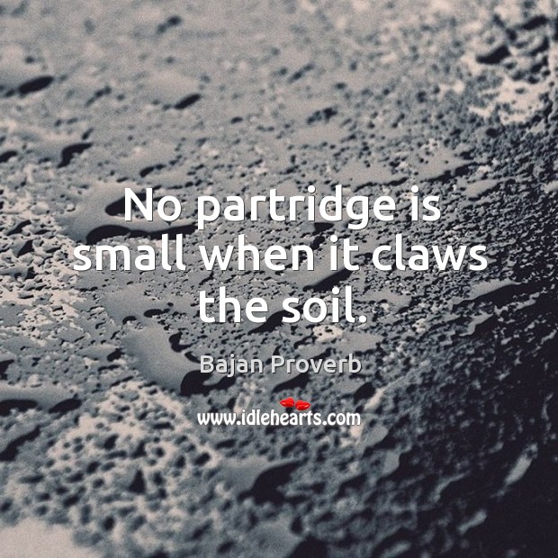 No partridge is small when it claws the soil. Bajan Proverbs Image