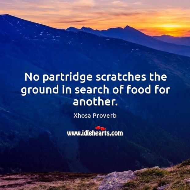 No partridge scratches the ground in search of food for another. Xhosa Proverbs Image