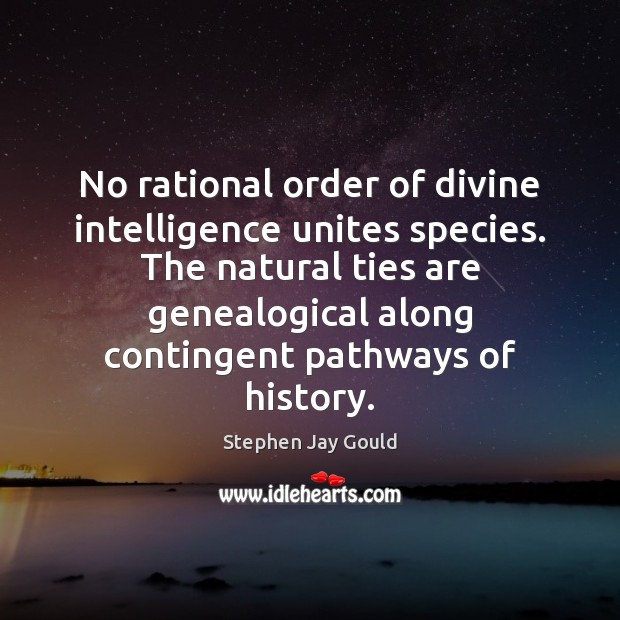 No rational order of divine intelligence unites species. The natural ties are Stephen Jay Gould Picture Quote