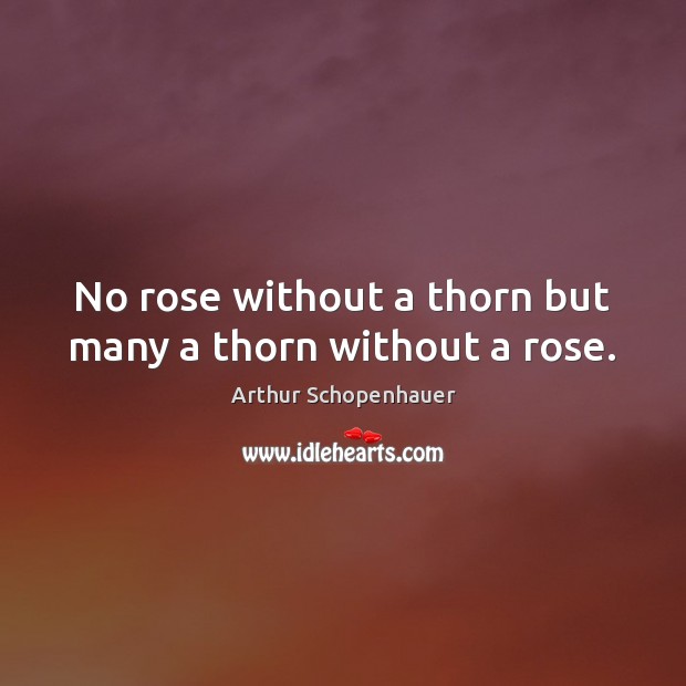 No rose without a thorn but many a thorn without a rose. Arthur Schopenhauer Picture Quote