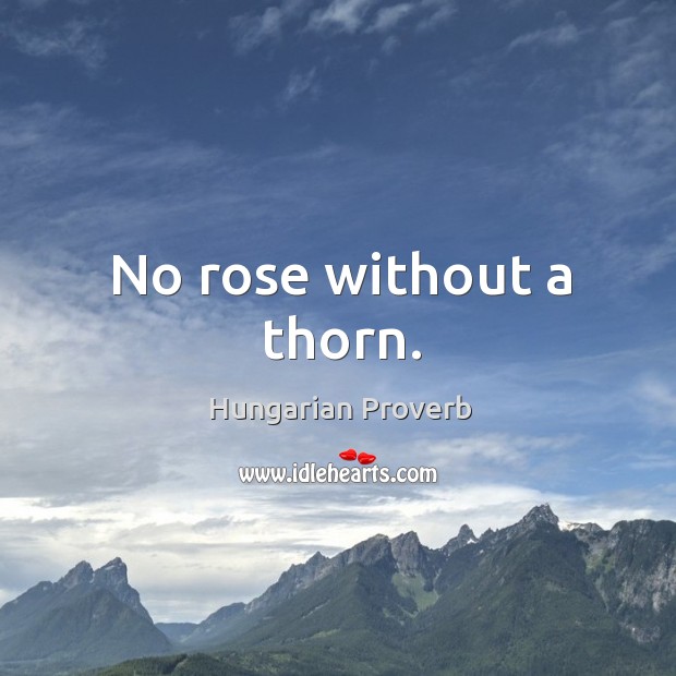 No rose without a thorn. Hungarian Proverbs Image