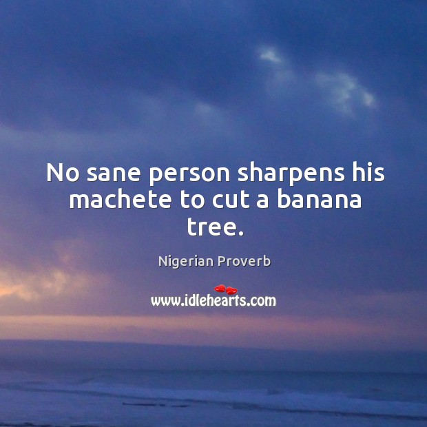 No sane person sharpens his machete to cut a banana tree. Nigerian Proverbs Image