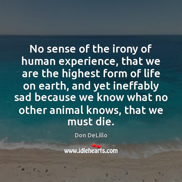 No sense of the irony of human experience, that we are the Don DeLillo Picture Quote