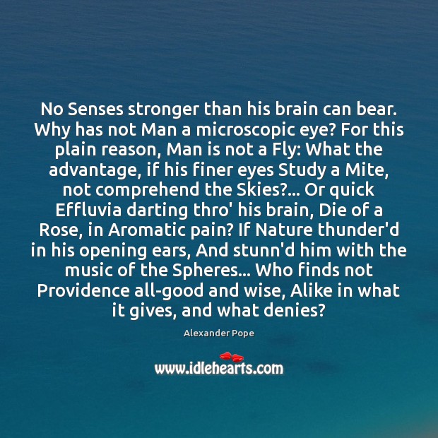 No Senses stronger than his brain can bear. Why has not Man Alexander Pope Picture Quote