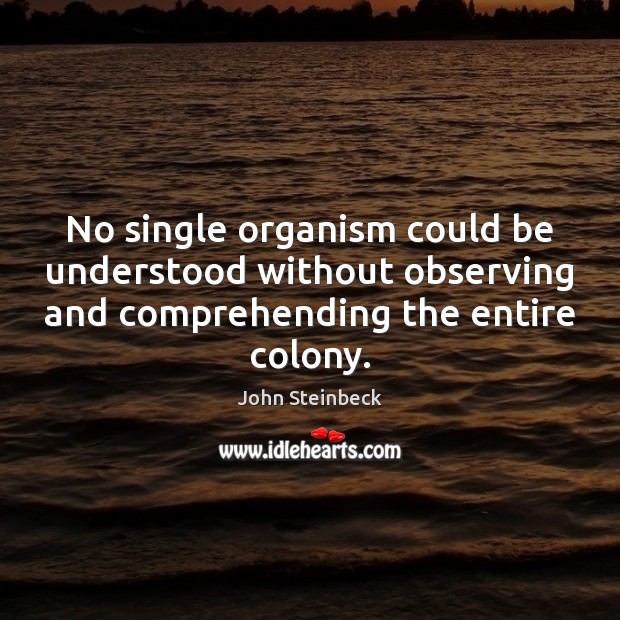 No single organism could be understood without observing and comprehending the entire 