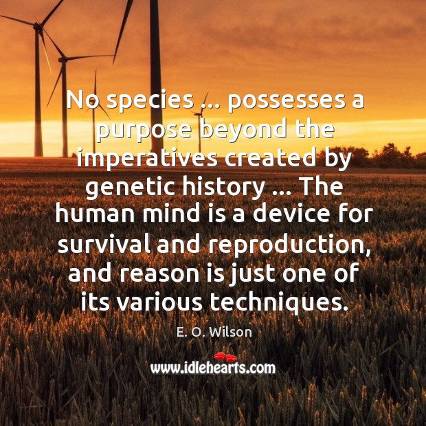 No species … possesses a purpose beyond the imperatives created by genetic history … Image