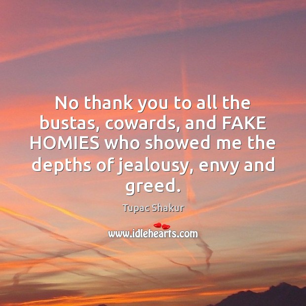 No thank you to all the bustas, cowards, and FAKE HOMIES who Thank You Quotes Image
