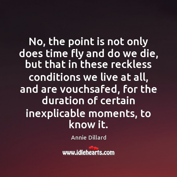 No, the point is not only does time fly and do we Annie Dillard Picture Quote