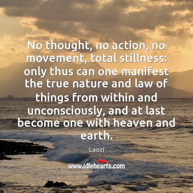 No thought, no action, no movement, total stillness: only thus can one Laozi Picture Quote