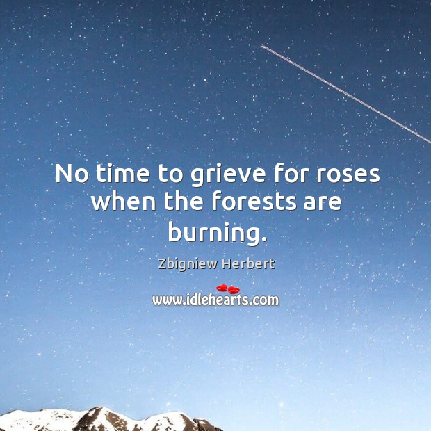 No time to grieve for roses when the forests are burning. Zbigniew Herbert Picture Quote