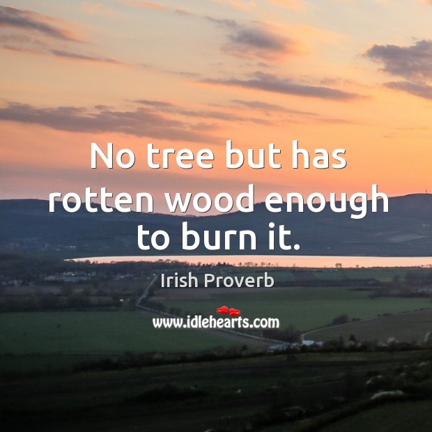 No tree but has rotten wood enough to burn it. Irish Proverbs Image