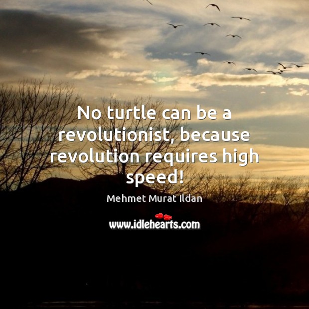 No turtle can be a revolutionist, because revolution requires high speed! Image