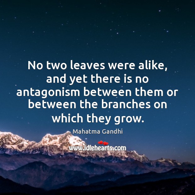No two leaves were alike, and yet there is no antagonism between Image