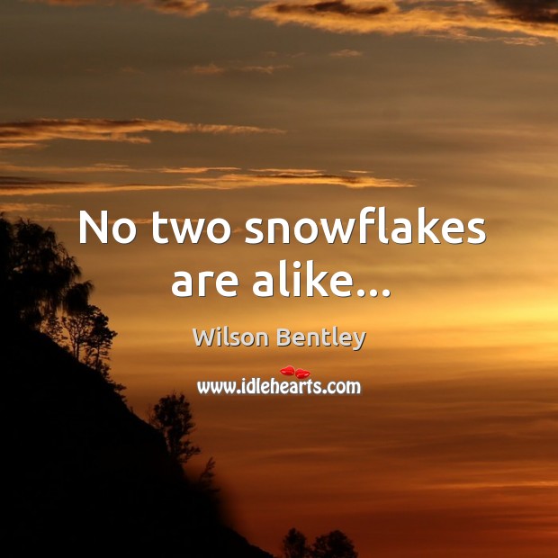 No two snowflakes are alike… Wilson Bentley Picture Quote