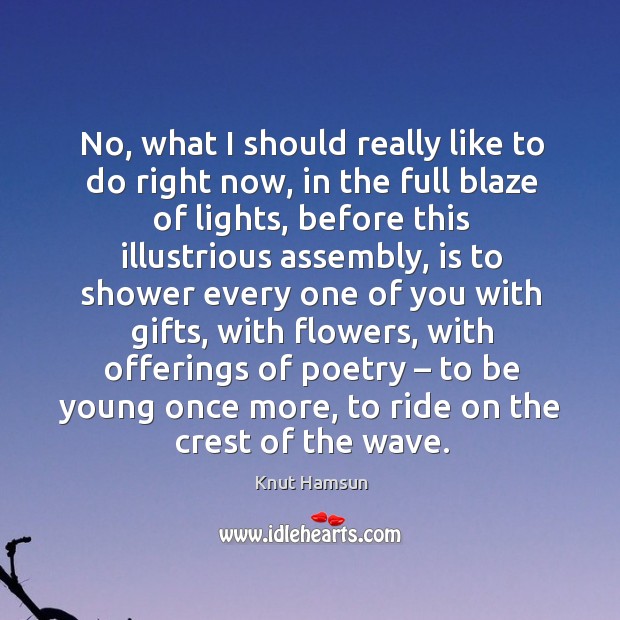 No, what I should really like to do right now, in the full blaze of lights Knut Hamsun Picture Quote