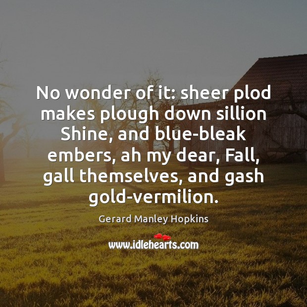 No wonder of it: sheer plod makes plough down sillion Shine, and Gerard Manley Hopkins Picture Quote