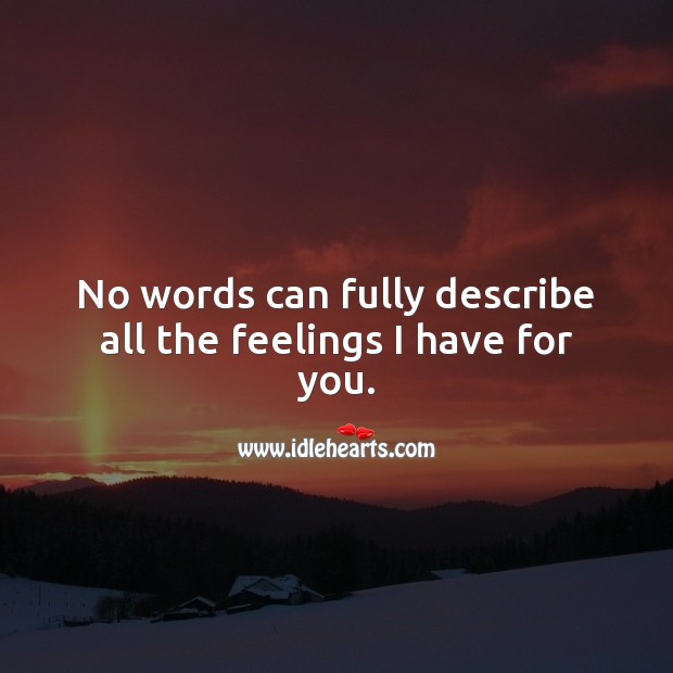 No words can fully describe all the feelings I have for you. Love Quotes Image