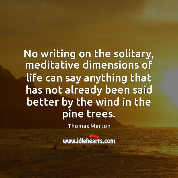 No writing on the solitary, meditative dimensions of life can say anything Thomas Merton Picture Quote