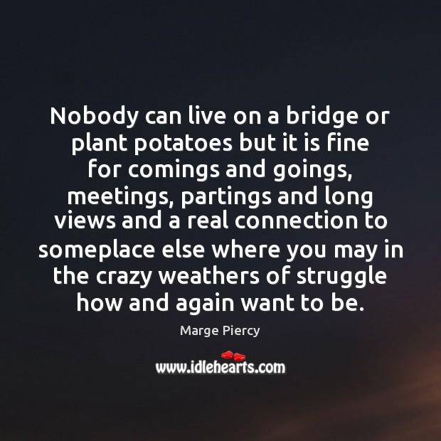 Nobody can live on a bridge or plant potatoes but it is Marge Piercy Picture Quote