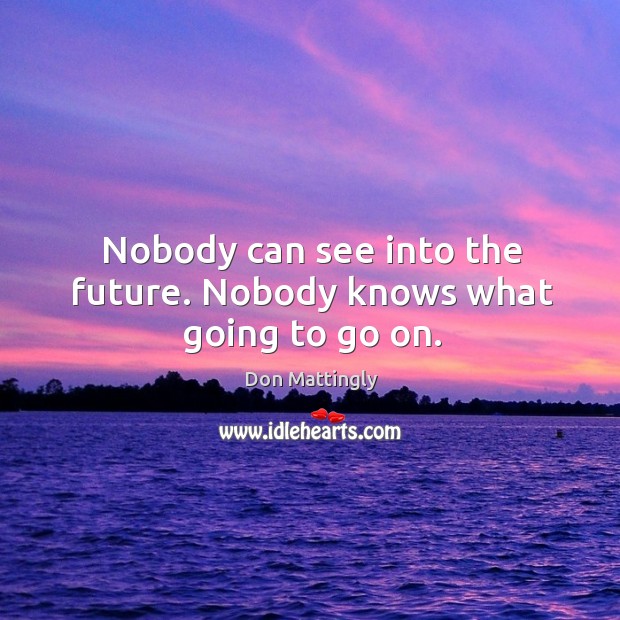 Nobody can see into the future. Nobody knows what going to go on. Don Mattingly Picture Quote