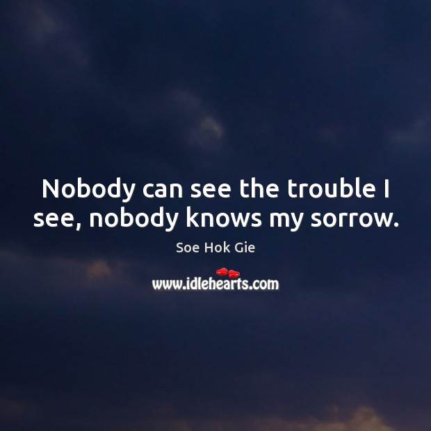 Nobody can see the trouble I see, nobody knows my sorrow. Soe Hok Gie Picture Quote