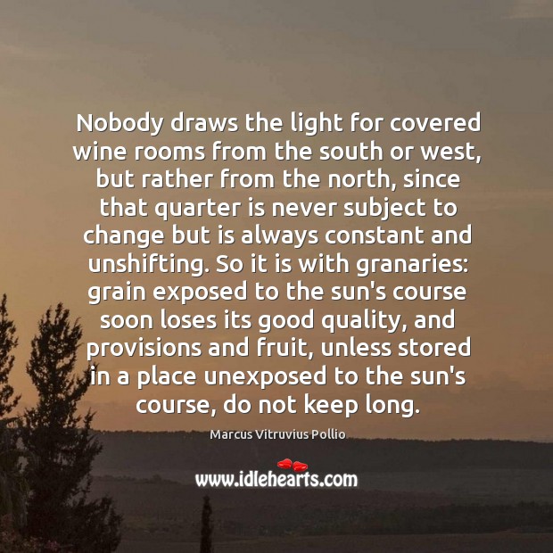 Nobody draws the light for covered wine rooms from the south or Marcus Vitruvius Pollio Picture Quote